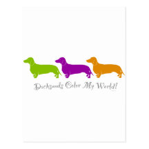 Color del Dachshund mi mundo Postales