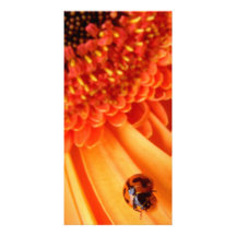 color del verano plantilla para tarjeta de foto