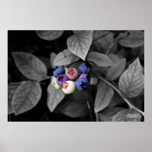 Colores de buen gusto impresiones
