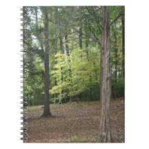 Colores del cuaderno de la caída