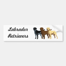 Colores del labrador retriever etiqueta de parachoque