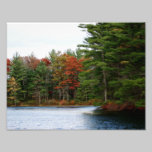 Colores del otoño 11 x impresión fotográfica 8,5 fotografía