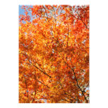 Colores del otoño comunicados personales 