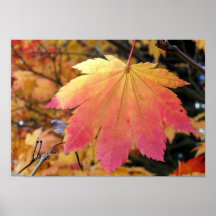 Colores del otoño poster