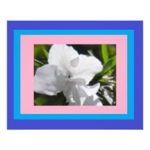Colores en azalea arte fotográfico