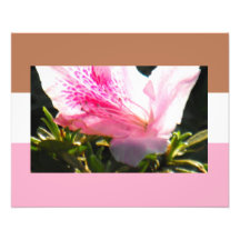 Colores en azalea fotografias
