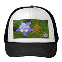 Columbine azul gorro