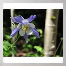Columbine con la abeja impresiones