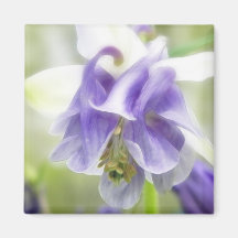Columbine con volantes azul y blanco imán de frigorífico