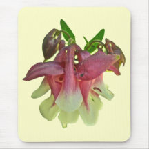 Columbine cultivado Mousepad Alfombrillas De Ratón