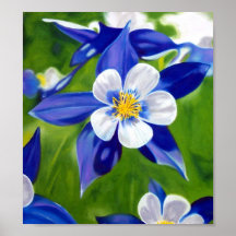 Columbine Posters