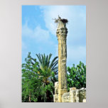 Columna romana, jerarquía de la cigüeña, Perge Posters
