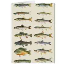 Columnas de pescados tarjeta