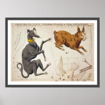 Comandante de Canis, Lepus, Columba Noachi y Cela Poster