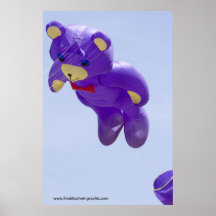 Cometa del oso poster