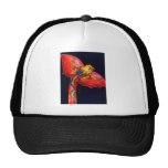 Cometa roja del dragón gorro de camionero