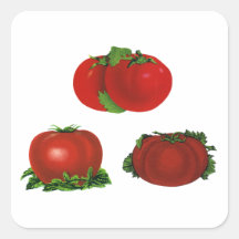Comida del vintage, frutas, verduras, tomate madur pegatinas  