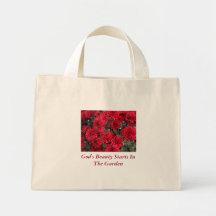 Comienzo de la belleza de dios en la bolsa de asas
