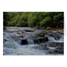 Comienzo del verano de Rowbrook del dardo del río  Felicitacion