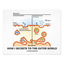 Cómo secreto al mundo externo (la exocitosis) invitacion personalizada