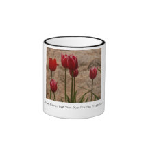 Cómo sobre nosotros ponga nuestros tulipanes junto tazas