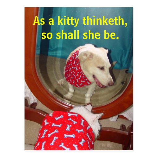 Como thinketh del gatito… tarjeta postal