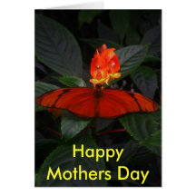 como una luciérnaga, día de madres feliz felicitación