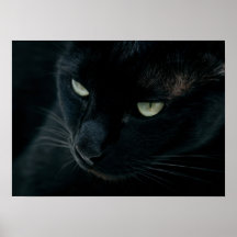 Como una pantera negra poster