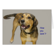 Cómo usted tarjeta de cumpleaños del perro de Doin