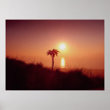 Compañero a una puesta del sol poster