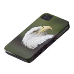 Compañero del caso del iPhone 4 de Eagle calvo Case-Mate iPhone 4 Cobertura
