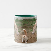 Compañeros de Cremello Taza