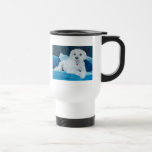 Compinche de Bichon Frise Tazas