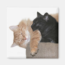 Compinches del Snuggle Imán Para Frigorífico