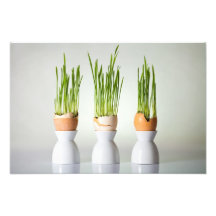 Composición de Pascua con la hierba verde Arte Fotográfico