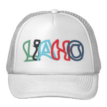 Cómprelo todo - modificado para requisitos particu gorros  