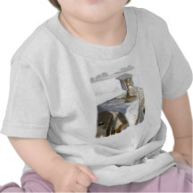 Comunión santa camisetas