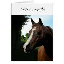 Con la condolencia (pérdida de un caballo) tarjeta