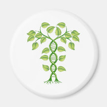 Concepto de la planta de la DNA Imán Para Frigorifico