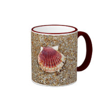 Concha de peregrino Shell Taza