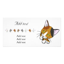 Concha (gato de la concha) tarjeta con foto personalizada
