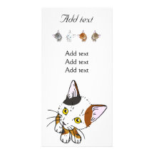 Concha (gato de la concha) tarjeta personal