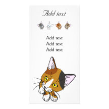 Concha (gato de la concha) tarjeta personal