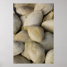 Conchas Poster