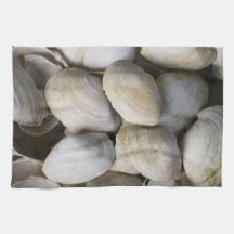 Conchas Toallas