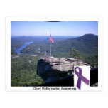 Conciencia de la malformación de Chiari tarjetas postales