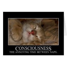 Conciencia: el tiempo molesto entre las siestas tarjetas