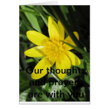 condolencia del celandine felicitación