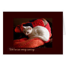 Condolencia del gato del mascota felicitación