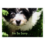 Condolencia del mascota - perrito de Havanese Tarjetón